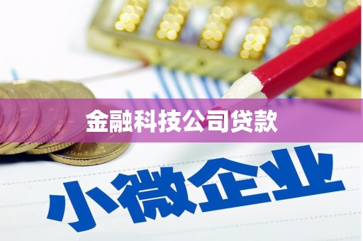 延安金融科技公司贷款