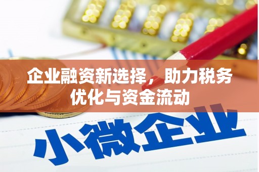 岑巩企业融资新选择，助力税务优化与资金流动