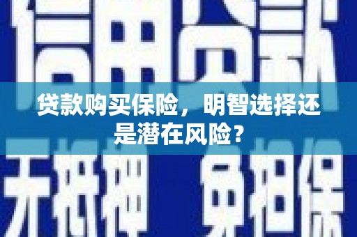 三沙贷款购买保险，明智选择还是潜在风险？