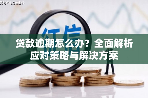 襄阳贷款逾期怎么办？全面解析应对策略与解决方案