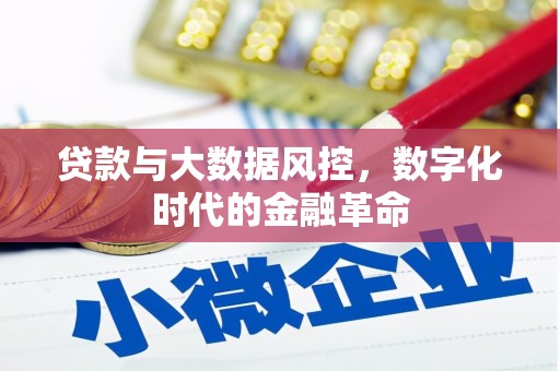 宁夏贷款与大数据风控，数字化时代的金融革命