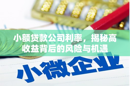 科尔沁左翼后旗小额贷款公司利率，揭秘高收益背后的风险与机遇