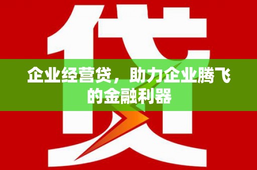 阳新企业经营贷，助力企业腾飞的金融利器