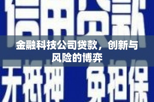 琼中金融科技公司贷款，创新与风险的博弈