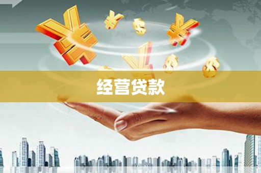 芦淞经营贷款