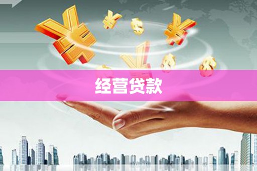 万峦经营贷款