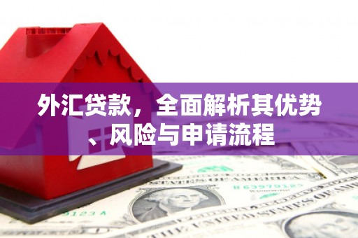 三台外汇贷款，全面解析其优势、风险与申请流程