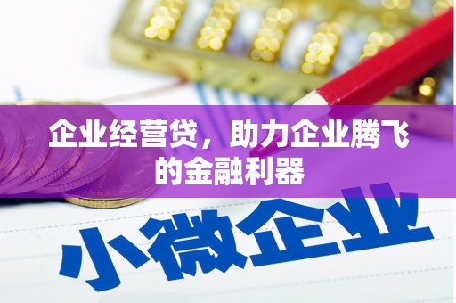 吉县企业经营贷，助力企业腾飞的金融利器
