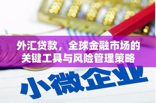 罗东外汇贷款，全球金融市场的关键工具与风险管理策略