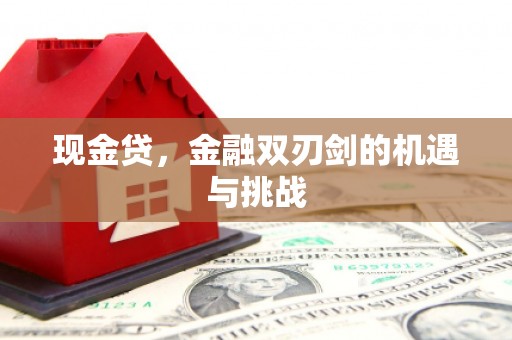 图们现金贷，金融双刃剑的机遇与挑战