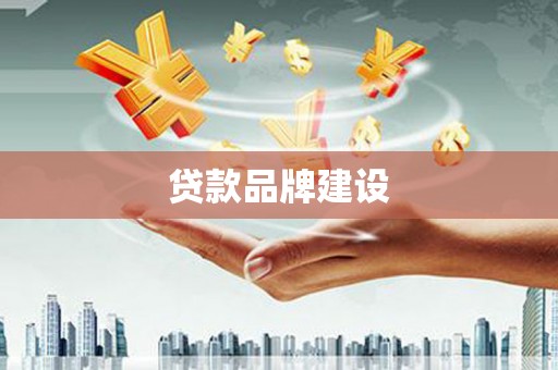 阜沙贷款品牌建设