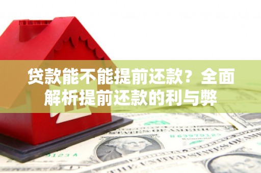 南涧贷款能不能提前还款？全面解析提前还款的利与弊