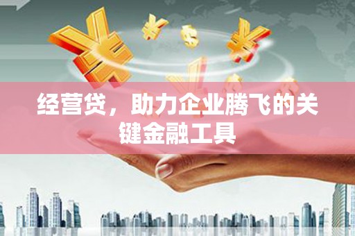 布袋经营贷，助力企业腾飞的关键金融工具