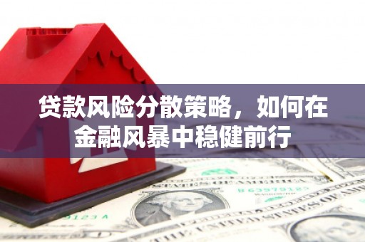 会理贷款风险分散策略，如何在金融风暴中稳健前行