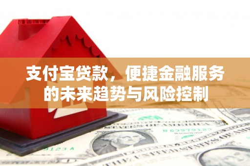 南充支付宝贷款，便捷金融服务的未来趋势与风险控制
