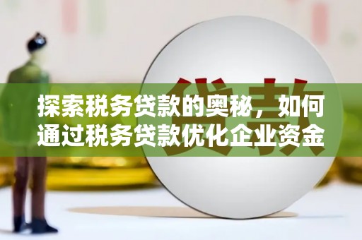 云浮探索税务贷款的奥秘，如何通过税务贷款优化企业资金流