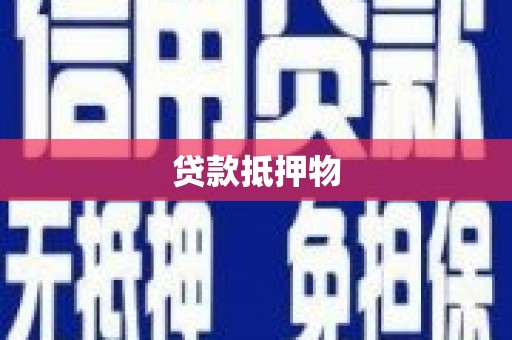 公安贷款抵押物