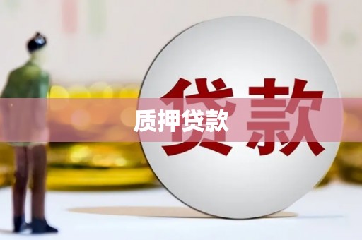 莎车质押贷款