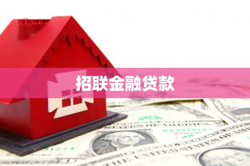 阳春招联金融贷款