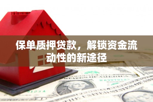 三民保单质押贷款，解锁资金流动性的新途径