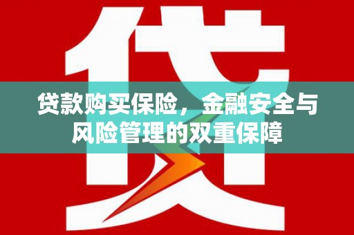 港北贷款购买保险，金融安全与风险管理的双重保障