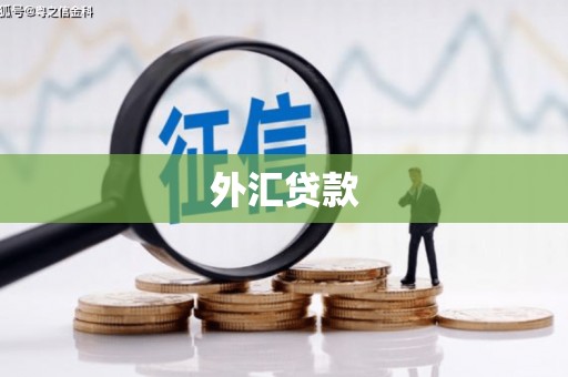 仁武外汇贷款