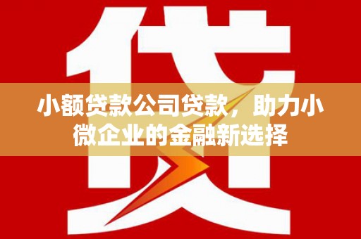 临西小额贷款公司贷款，助力小微企业的金融新选择