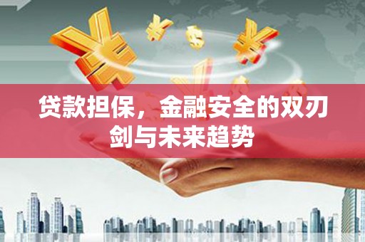 墨江贷款担保，金融安全的双刃剑与未来趋势