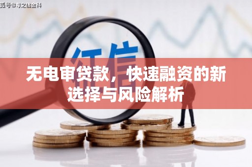 荔城无电审贷款，快速融资的新选择与风险解析