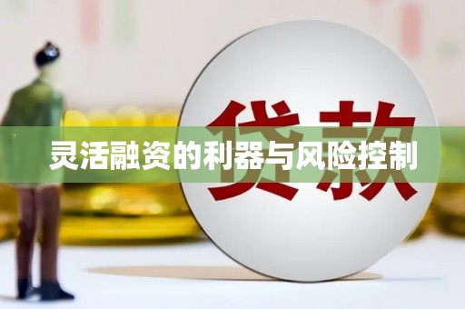 六甲灵活融资的利器与风险控制