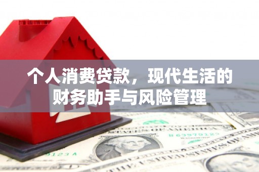 小金个人消费贷款，现代生活的财务助手与风险管理