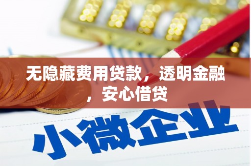 陇川无隐藏费用贷款，透明金融，安心借贷