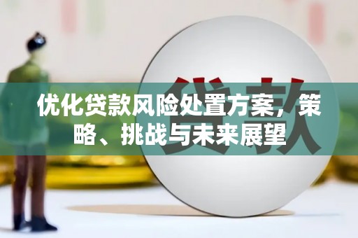 永靖优化贷款风险处置方案，策略、挑战与未来展望