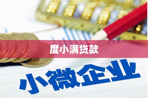 威海度小满贷款