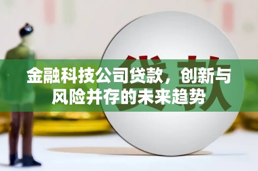 赤坎金融科技公司贷款，创新与风险并存的未来趋势