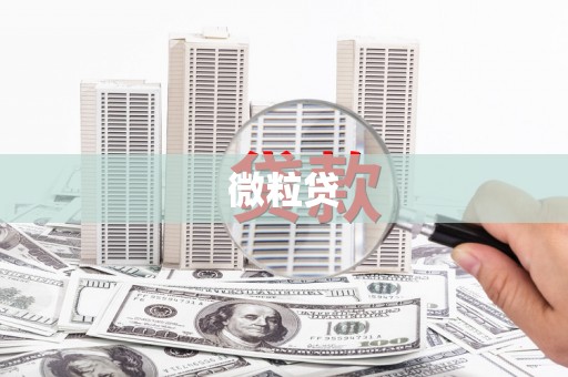 镇巴微粒贷