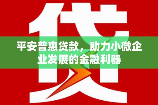 东乌旗平安普惠贷款，助力小微企业发展的金融利器