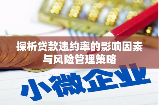 应县探析贷款违约率的影响因素与风险管理策略