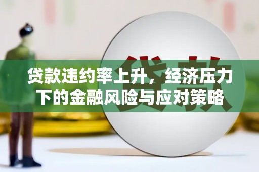 雨花贷款违约率上升，经济压力下的金融风险与应对策略