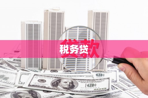 德格税务贷