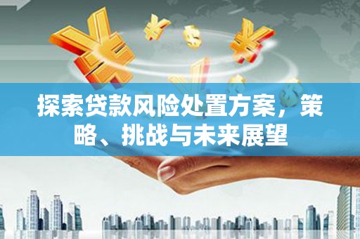 丰滨探索贷款风险处置方案，策略、挑战与未来展望