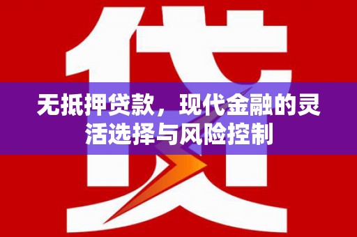 墨玉无抵押贷款，现代金融的灵活选择与风险控制