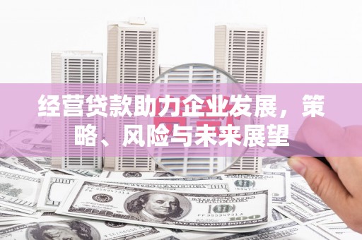 察隅经营贷款助力企业发展，策略、风险与未来展望
