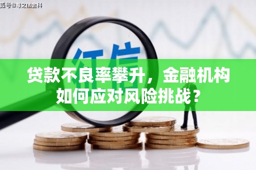 雷州贷款不良率攀升，金融机构如何应对风险挑战？