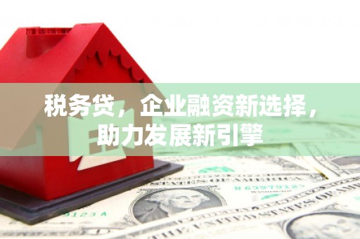 天河税务贷，企业融资新选择，助力发展新引擎
