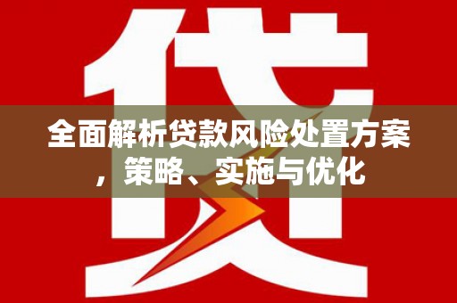 南区全面解析贷款风险处置方案，策略、实施与优化