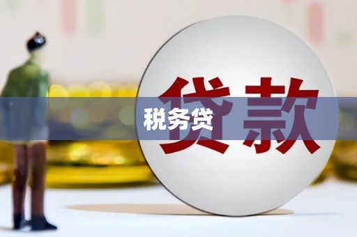 梓官税务贷