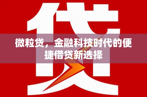单县微粒贷，金融科技时代的便捷借贷新选择