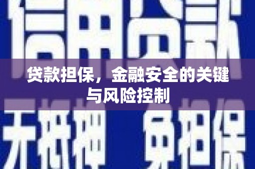 泸县贷款担保，金融安全的关键与风险控制