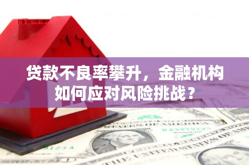 章丘贷款不良率攀升，金融机构如何应对风险挑战？